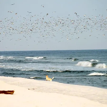 Neuklosterhof App. 26 * Pelzerhaken