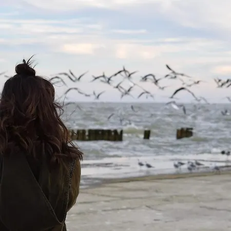 Neuklosterhof App. 26 Apartament Pelzerhaken