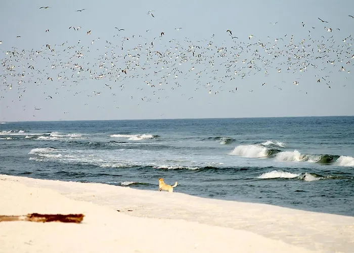 Neuklosterhof App. 26 * 펠체르하켄